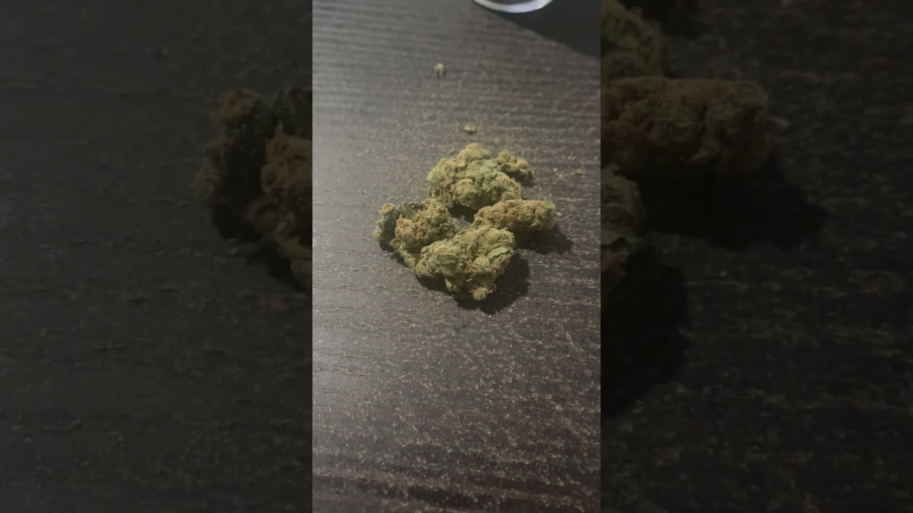 Zizzle- Silver Haze // Strain Review
