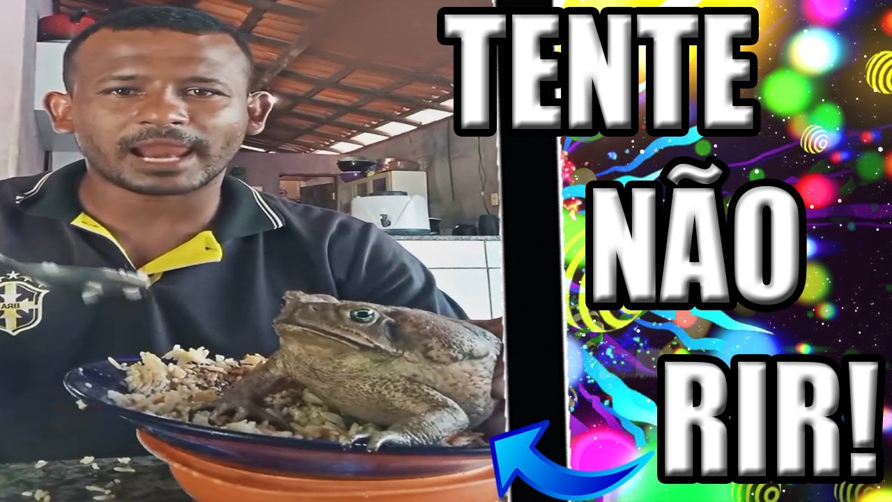 30 MINUTOS DE DORGAS - ESPECIAL DESAFIO TENTE NÃO RIR, IMPOSSÍVEL (NÍVEL HARD)