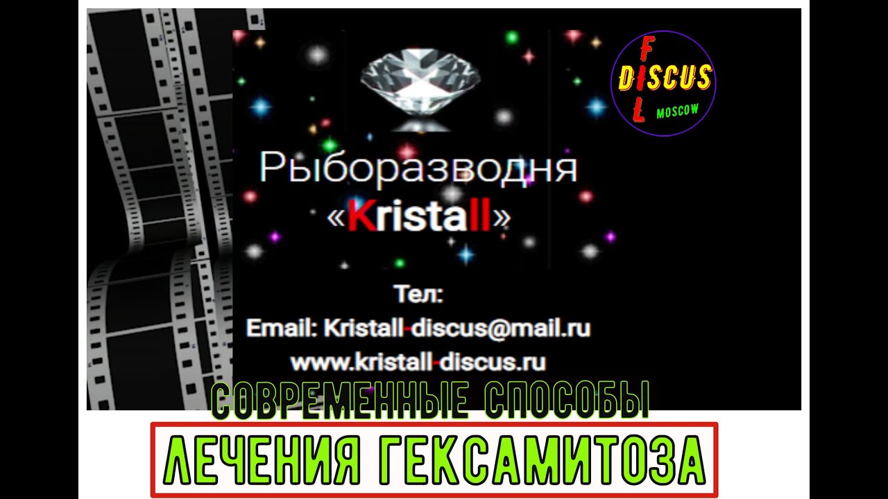 # ДИСКУСЫ#Аквариумная рыба#Современные способы лечения гексамитоза.