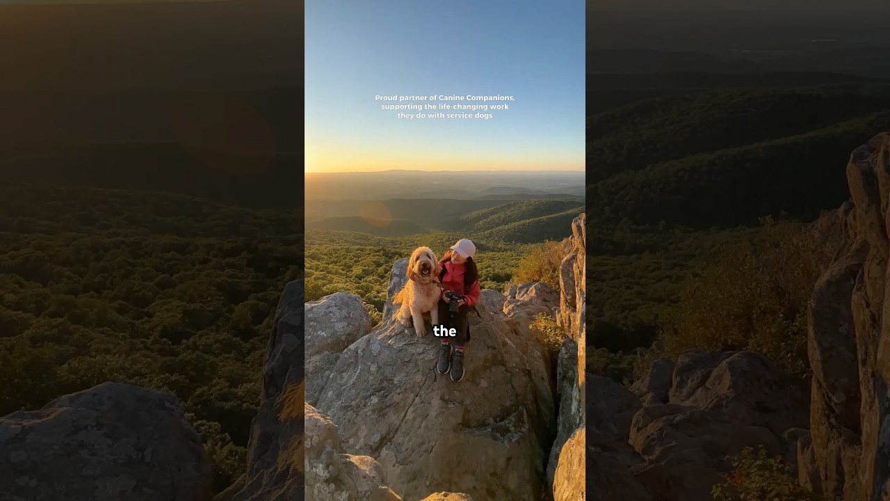 Proud to partner with @caninecompanions. Together we can make an impact!