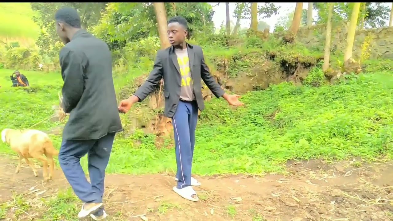Ibisambo kumatungo