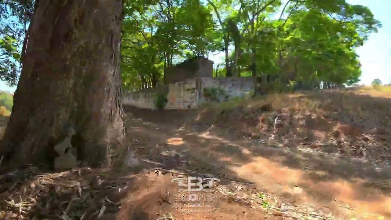 Treino matinal com DJI Avata no quintal de casa