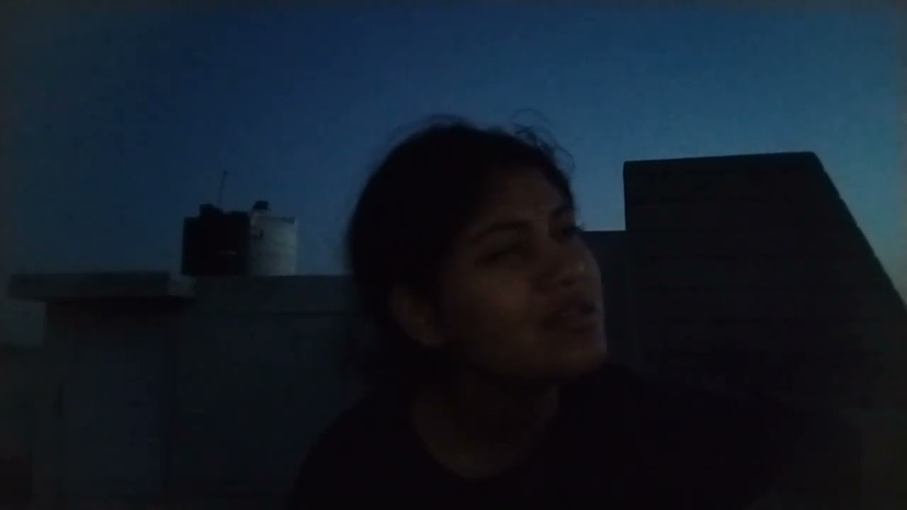 A rooftop cover of 'Houseplants' by Ellie Nanni -in all it's chaoticness