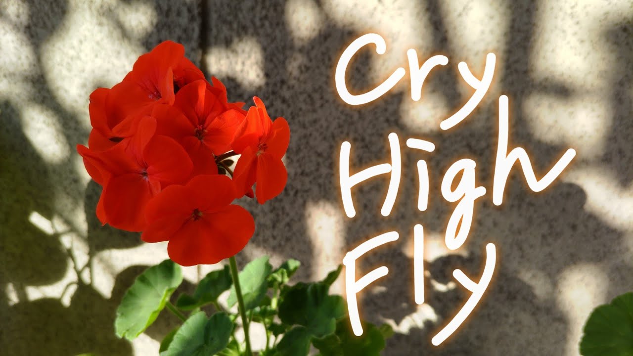 Cry High Fly / aiko〈 ピアノ伴奏 piano cover / inst 〉【歌詞】