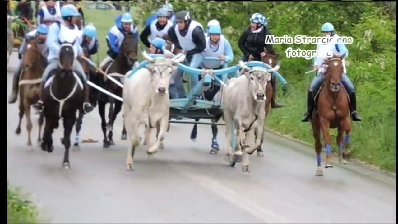 Carrese 2017