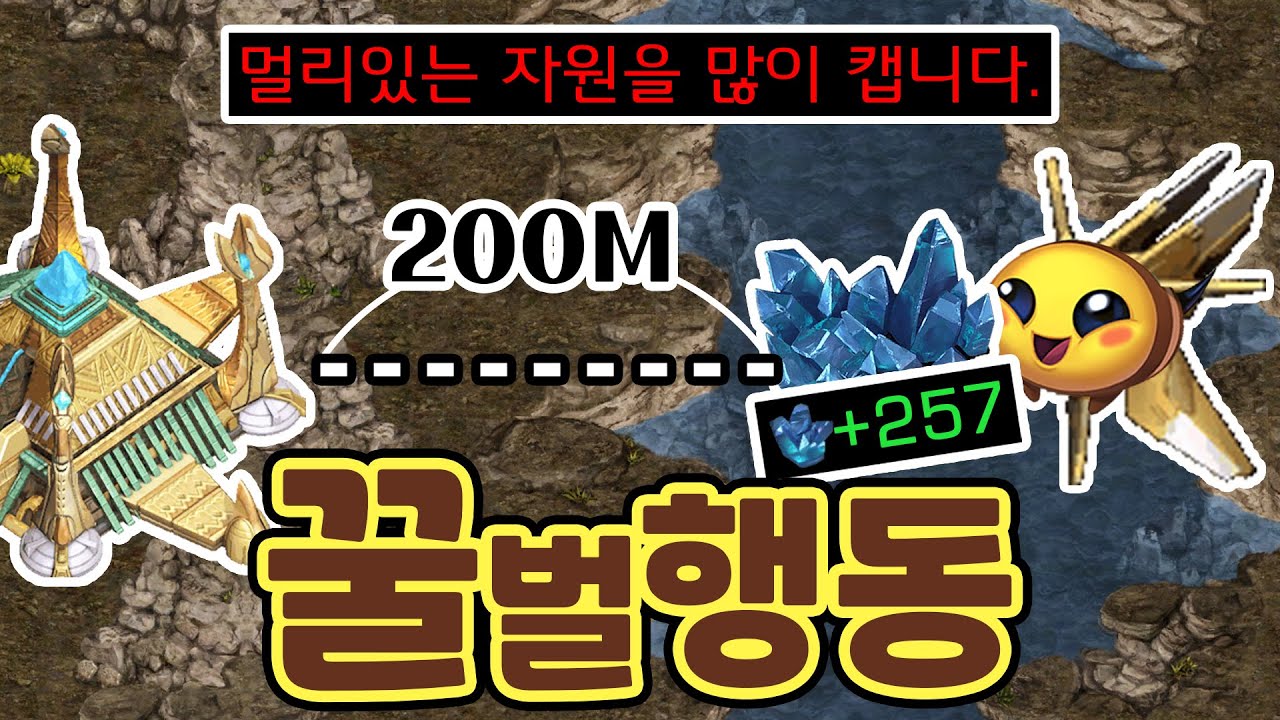 [랜능크] ㄹㅇ 역대급 장기전 '꿀벌행동' ㅋㅋㅋㅋ