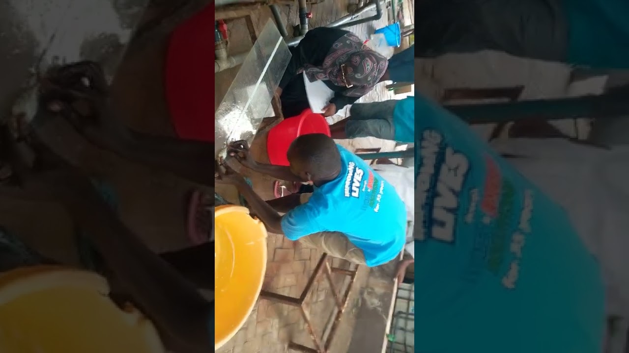 How sampling of rabbit fish is done
