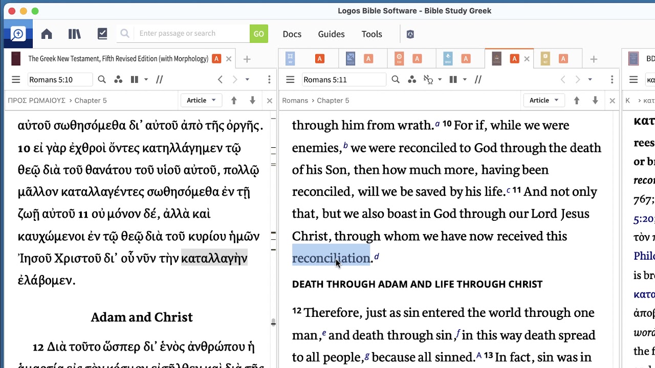 Tweaking the Article (Romans 5:11)