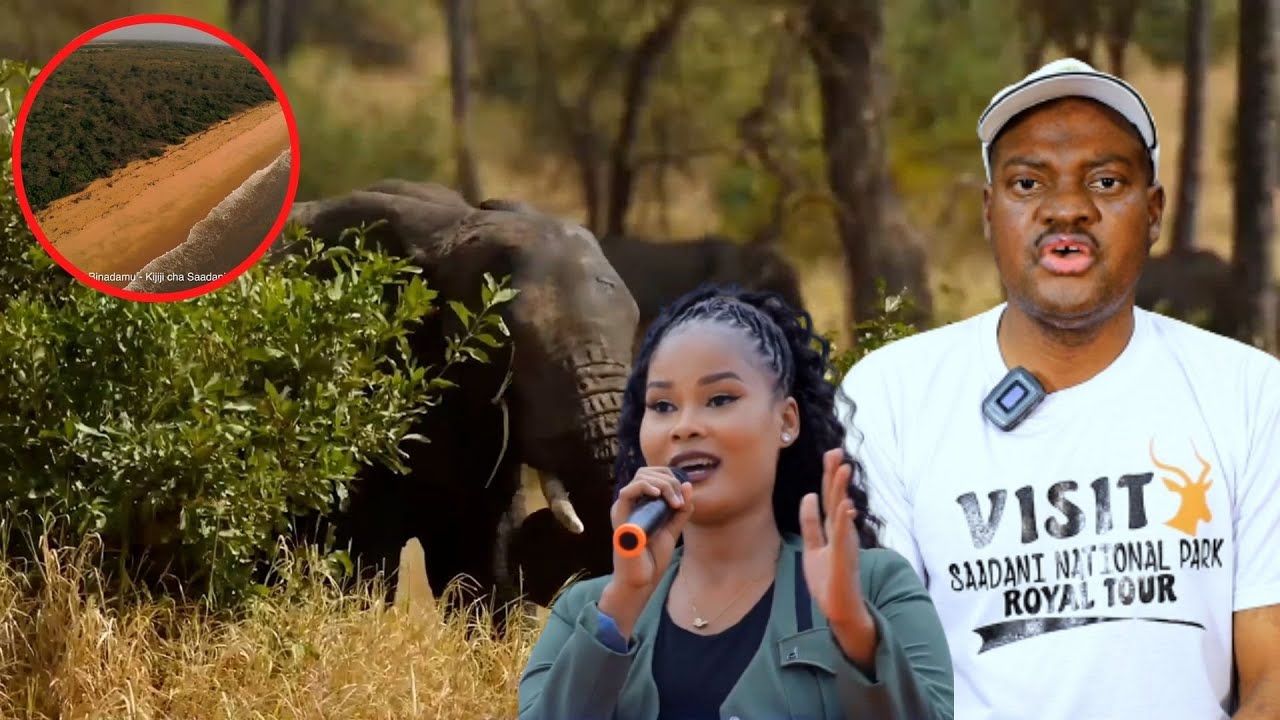 USIYOYAJUA KUHUSU HIFADHI YA SAADANI, FURSA ZA UTALII NA MAAJABU YALIYOPO, HAMISA MOBETTO ATINGA