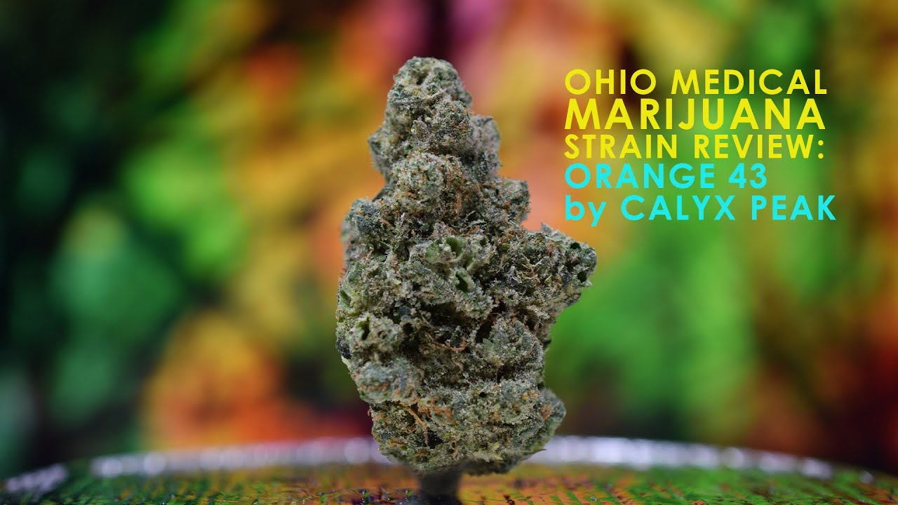 Ohio Medical Marijuana Strain Review: Orange 43 by Song (Calyx Peak)