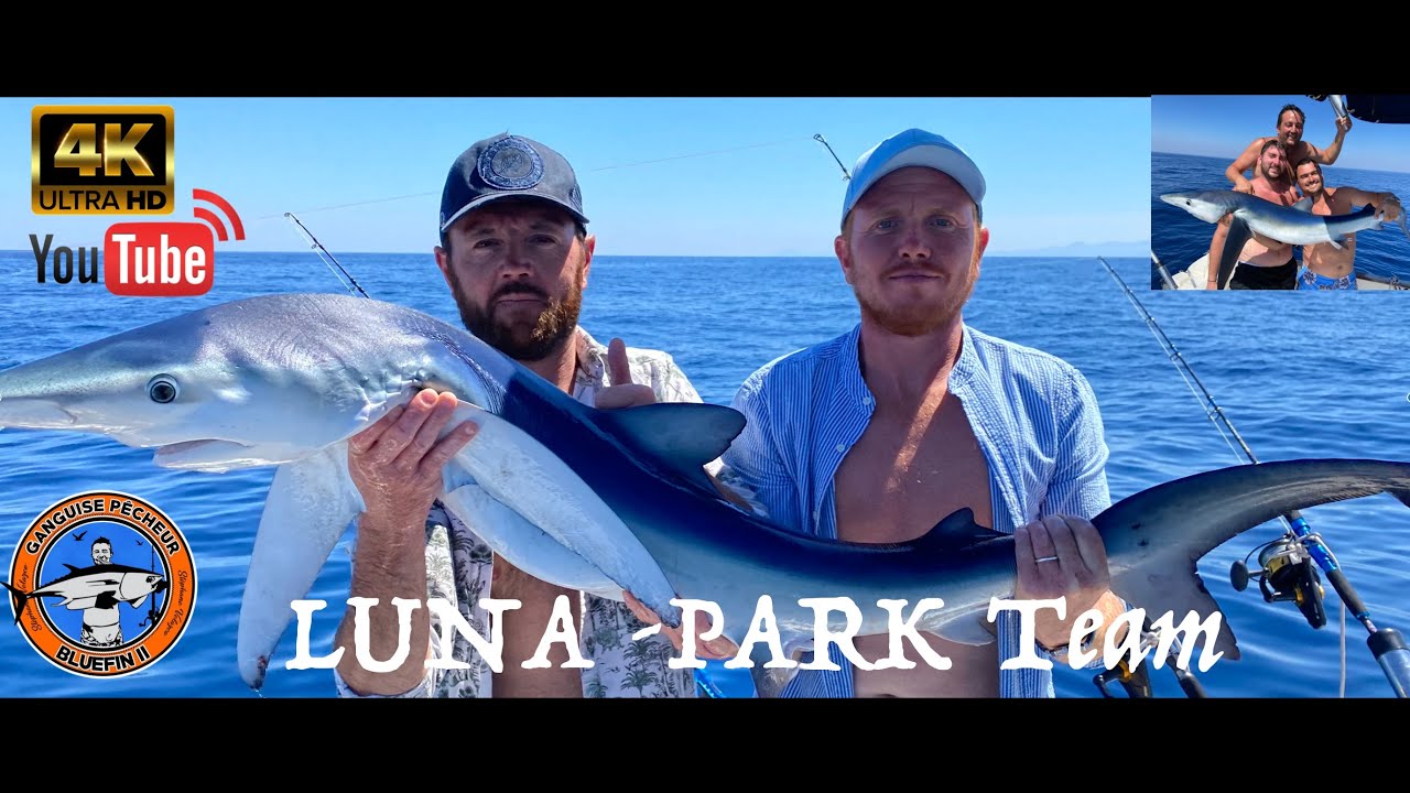 Luna Park  Team vs Requin