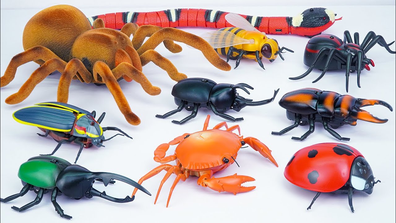 ZURU ROBO ALIVE COLLECTION | UNBOXING Robo Tarantula Spider, Robo  Snake, Ladybug Review Toy ASMR