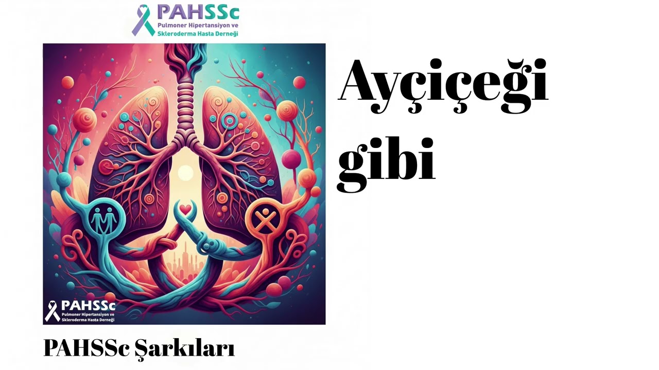 🌻 Ayçiçeği gibi