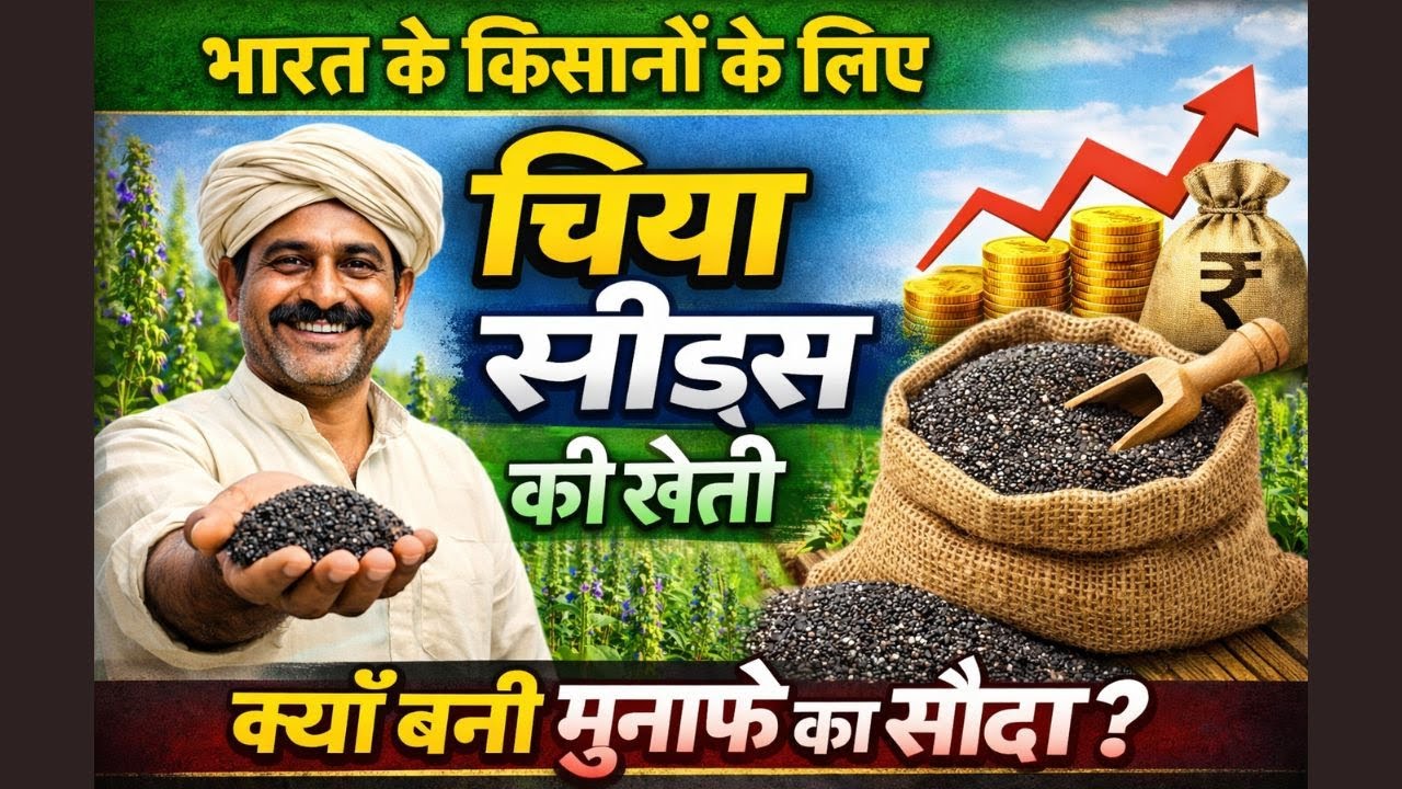चिया सीड्स की फायदेमंद खेती | Chia seeds farming | Agriscience Hindi