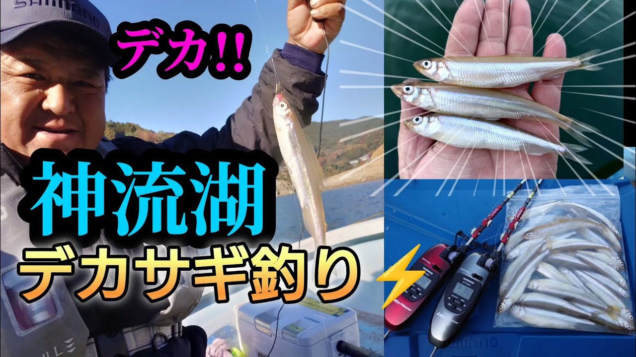 神流湖!デカサギ釣り!!