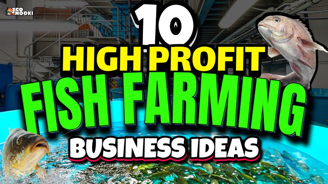 10 BEST Fish to Farm for Ultimate Awesome PROFIT!