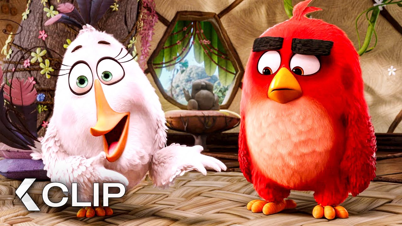 Red y sus nuevos Amigos del Curso Antiagresión - ANGRY BIRDS: La película Clip (2016)
