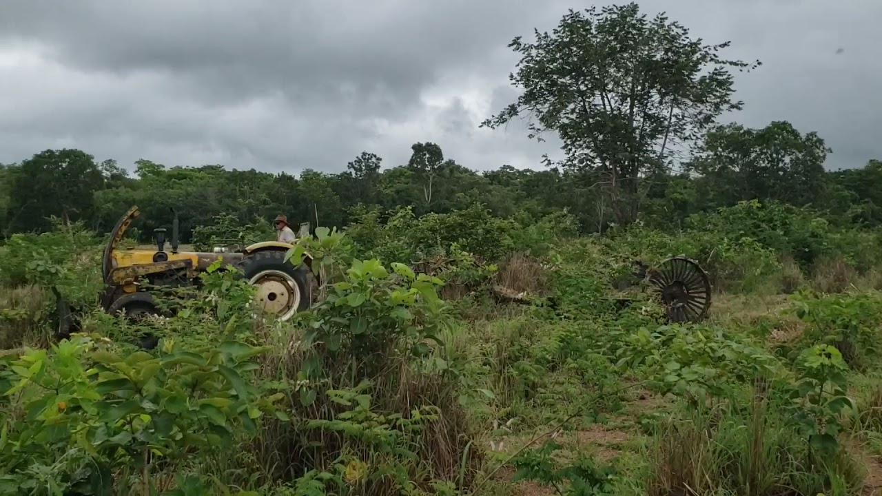CBT 1105 trabalhando com 2 roçadeiras AVARÉ INRODA SP 2