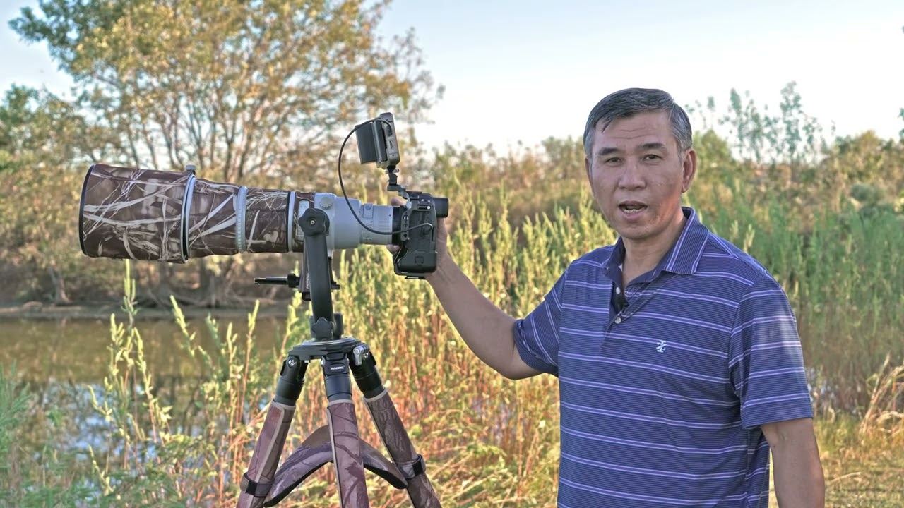 Concise comparison of the autofocus systems of the Canon EOS R3 and the Sony Alpha 1