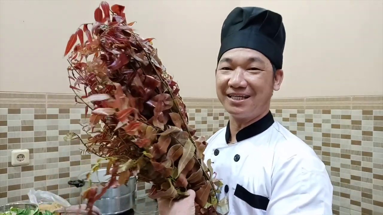 MEMASAK DAUN YANG TUMBUH LIAR... DAUN IDING IDING