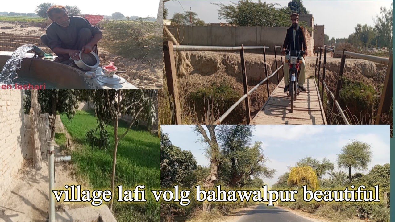 Bahawalpur village lafi volg /۔ Pakistan Punjab village bahawalpur beautiful ❤️
