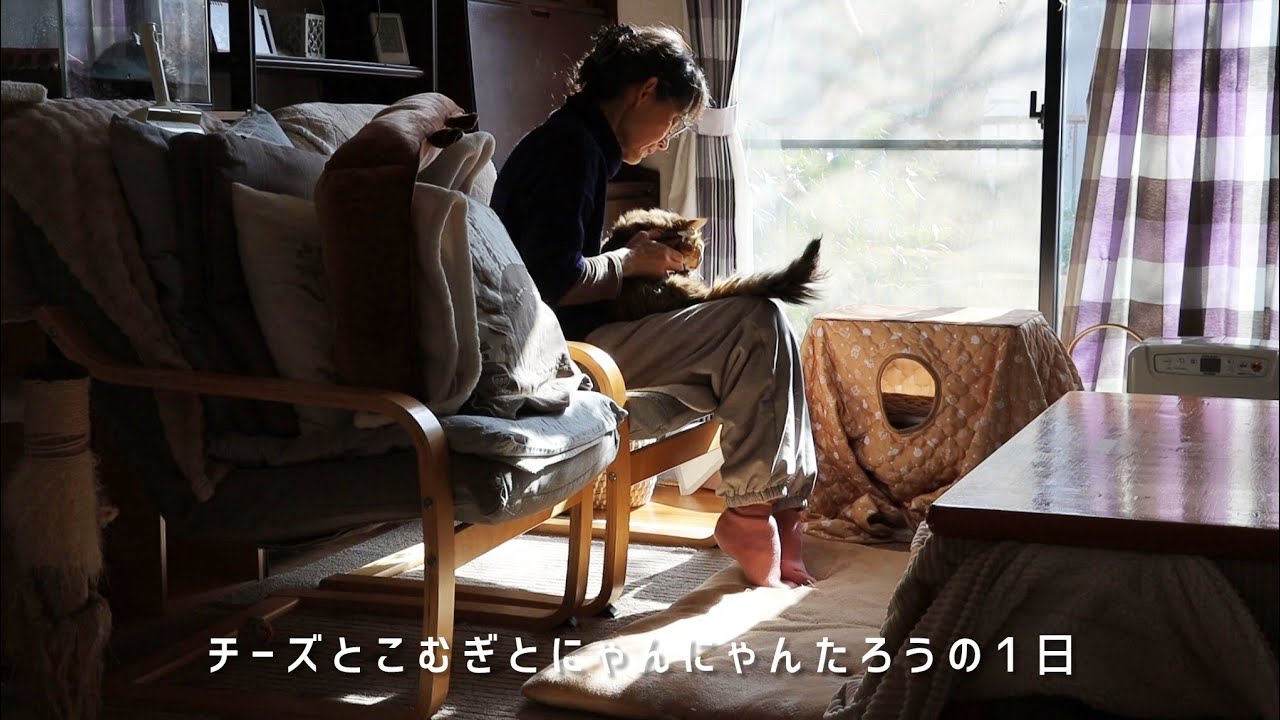 【猫が暮らす家の1日】寒さの合間の暖かい日に猫と花のお手入れ/ドリブルも爪切りも上手に出来るよ（byにゃんにゃん）