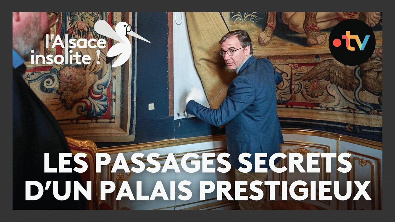 Insolite : portes invisibles et couloirs cachés, dans ce palais, 