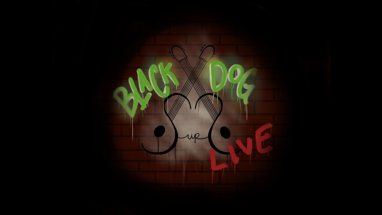SUS Live: Black Dog (Led Zeppelin) Fingerstyle Classical Guitar Duet