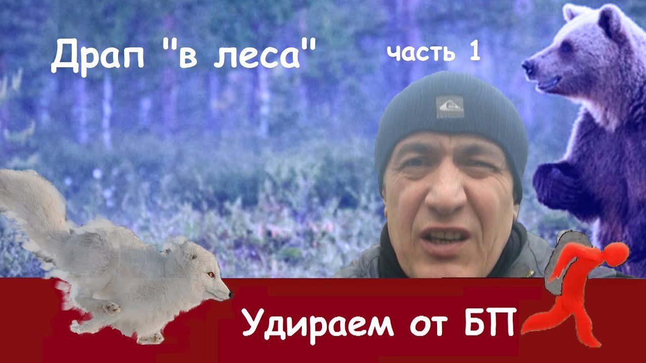 Драпаем в лес. Часть 1. Почему вы там сдохнете