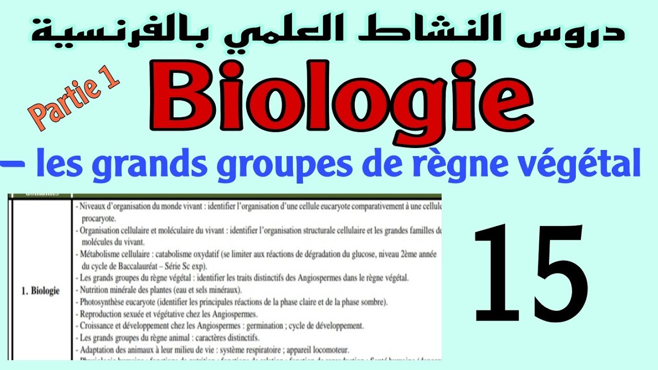 les grands groupes de règne végétal: les angiospermes 1