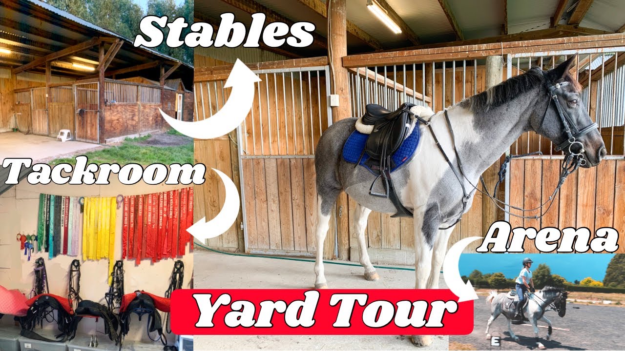 YARD TOUR || Stables, arena, jumps & more *Realistic*