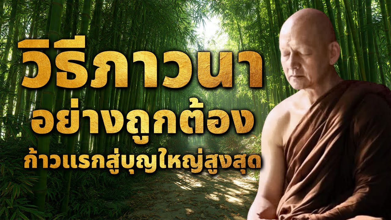 วิธีภาวนาอย่างถูกต้อง: ก้าวแรกสู่สมาธิสูงสุด#ธรรมะ #ธรรมะก่อนนอน #ปัญญาแห่งชีวิต