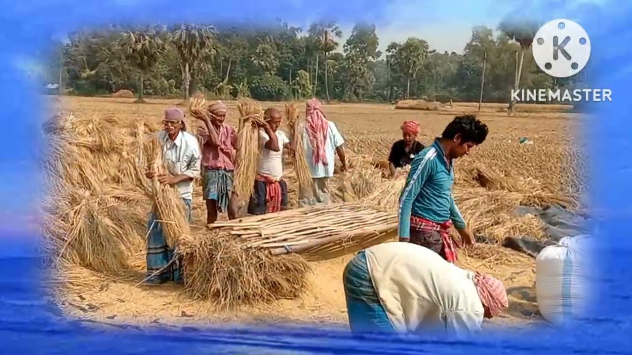 ORA KAJ KORE | Rabindranath Thakur | Amiya Kumar Rit @News18Bangla  #satadal_sahitya_patrika
