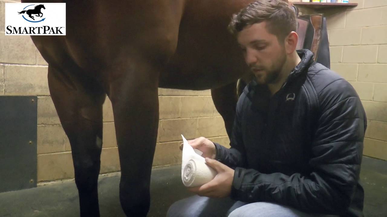 3 Ways to Wrap a Horses Leg