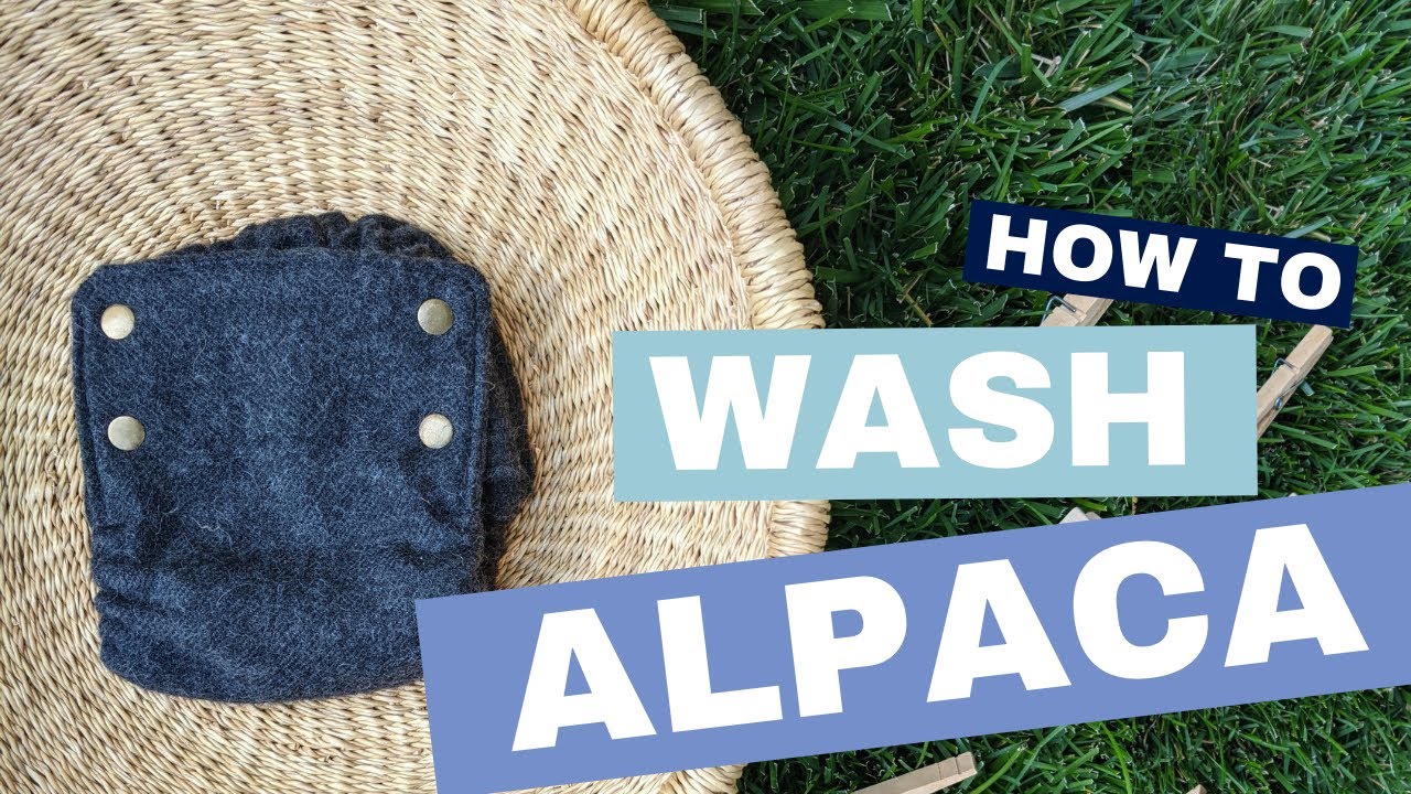 How to Wash Alpaca