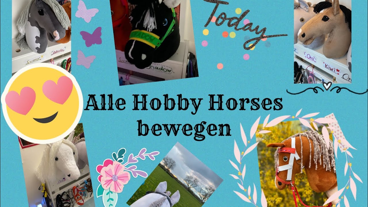 Alle meine Hobby Horses bewegen