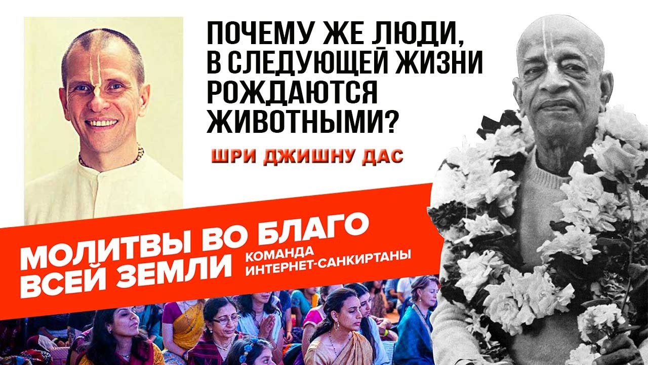 Почему же люди, в следующей жизни рождаются животными?