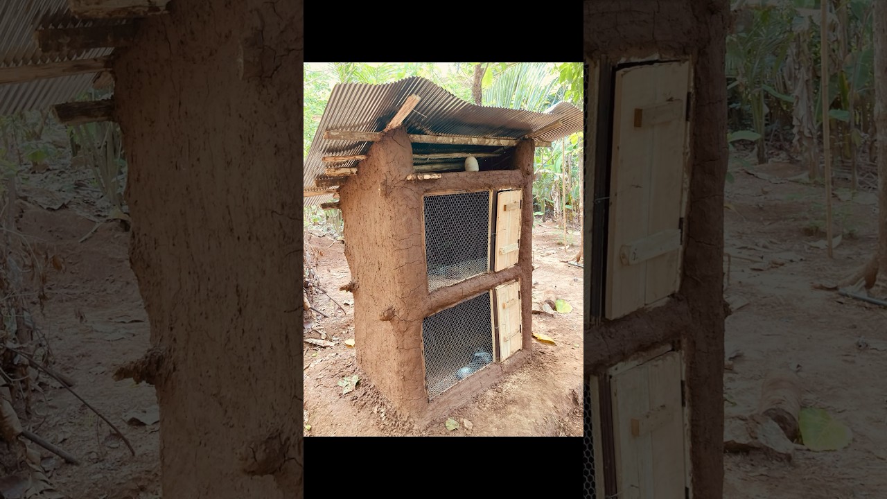 LOW Budget MUD 2 storey chicken cage🏘️🐔