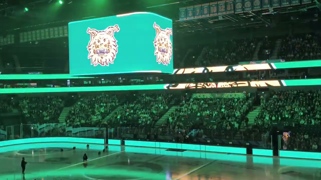 Uusi alkushow ja sisääntulo Ilves hockey