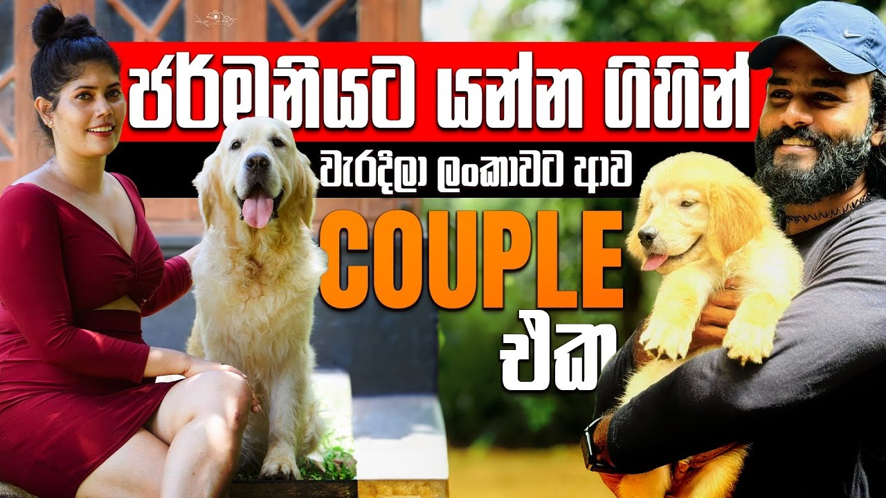ජනප්‍රිය නලු Yashගෙ හුරතලේගෙ යූක්‍රේන තාත්තා | ලංකාවටම එකයි යුක්‍රේන ලේ | Golden retriever