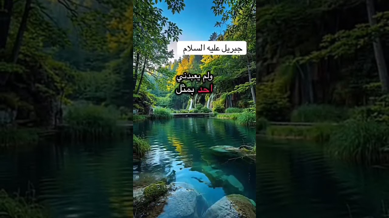 ٢٨ ديسمبر ٢٠٢٥