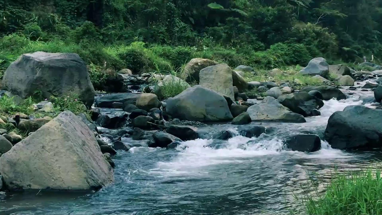 Refreshing Freshwater Stream to help Mental Focus & Peace of Mind