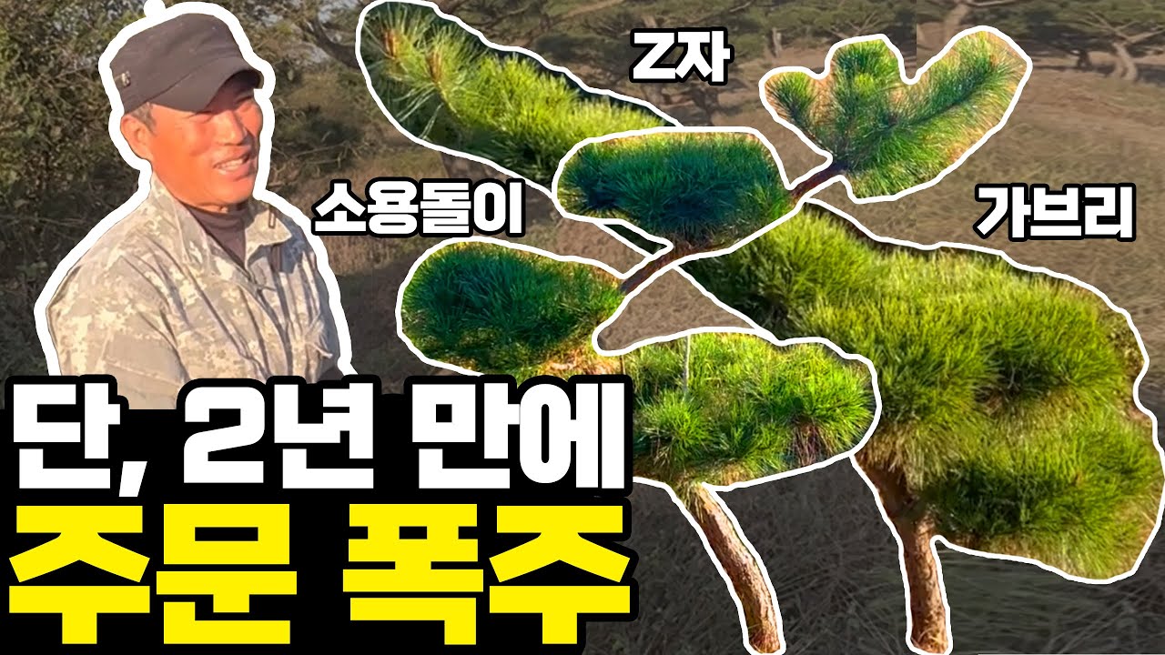 저희 말대로 됐습니다. (단 2년만에 특수목 만들기) [ Z자 곡, 소용돌이 곡, 가브리 곡 ]