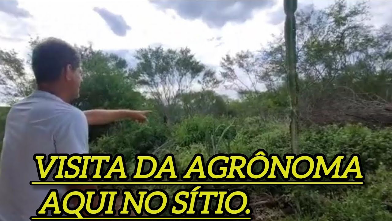 Visita da agrônoma aqui no sítio.