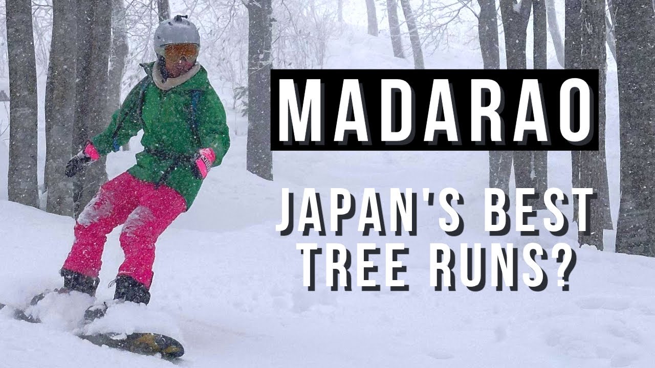 Home of Japan's Best Powder Tree Runs? 🌲 Madarao Ski Resort Guide 🏂🏻
