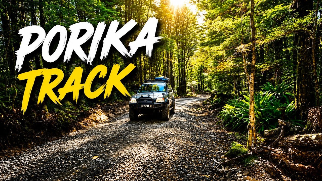Porika Track to Lake Rotoroa