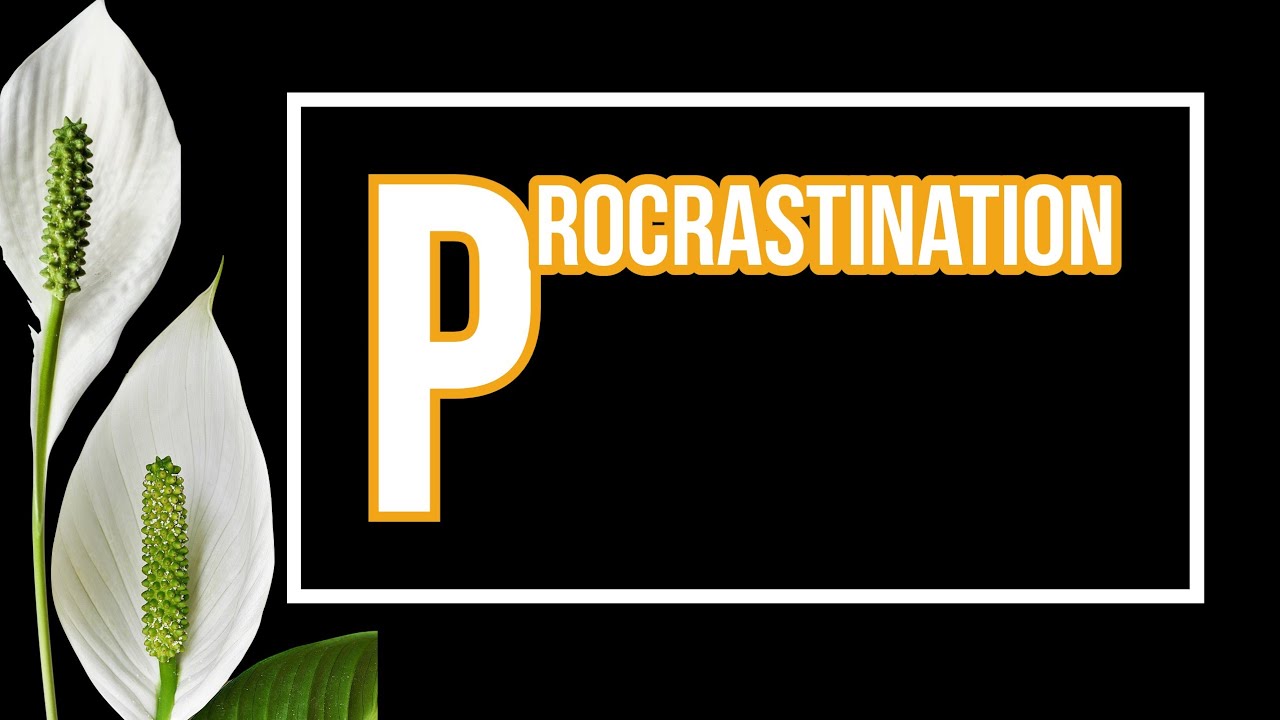 Quotes about procrastination | Best Procrastination Quotes 2022