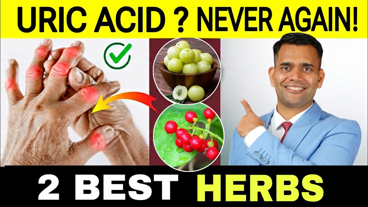 Lower Uric Acid Naturally: 2 Best Herbs & Causes of High Uric Acid Explained How to Reduce Uric Acid