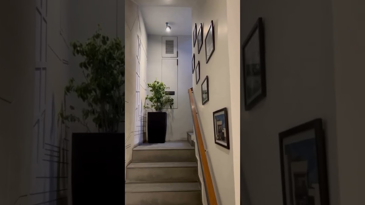 Ascend to new heights of elegance with Plushh Planters every step of your staircase🪴 #ForEveryCorner