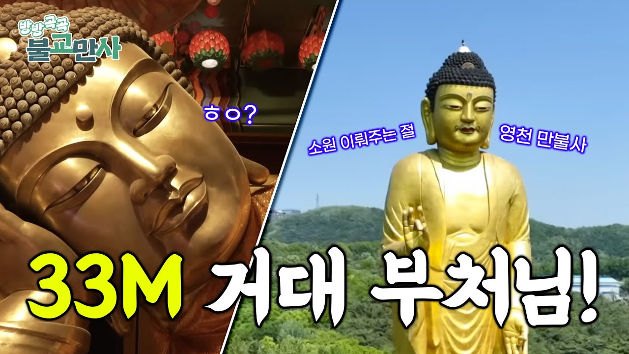입이 떡 벌어지는 스케일! 한국 최대 불상의 위엄, 영천 만불사 [방방곡곡 불교만사 -5회-]